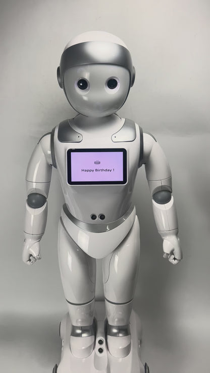 iPal 1st Generation Home Robot